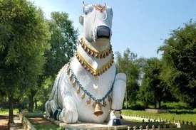 Hyderabad To Mahanandi